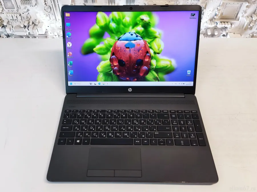 ������� 15.6